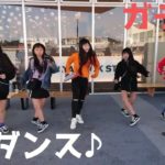 【KKダンス】ノリきれるか？KKダンス♪かわいい💛【TIKTOK】
