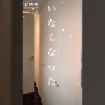 TIKTOK,揺れる巨乳さん11,エロい